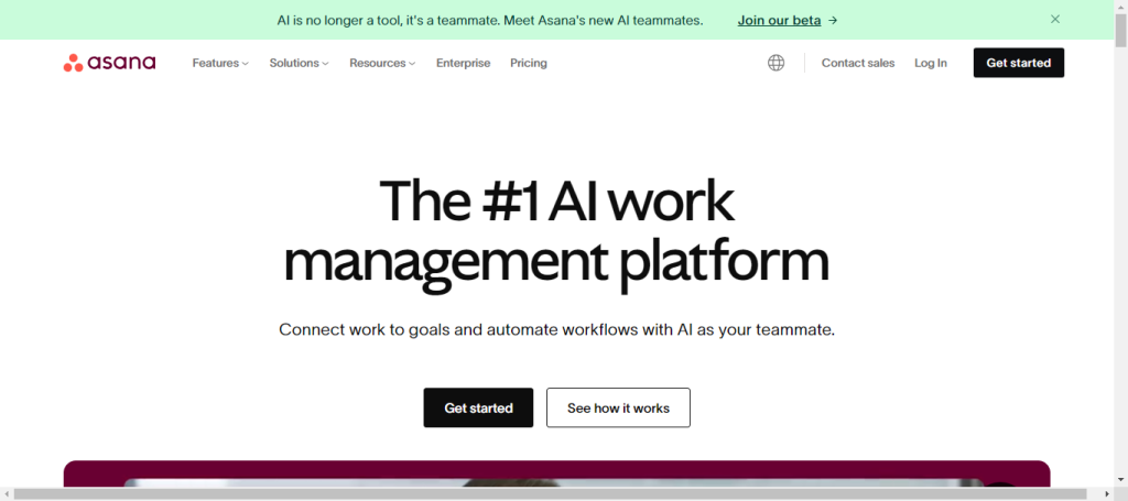 Asana - Project Management Tool